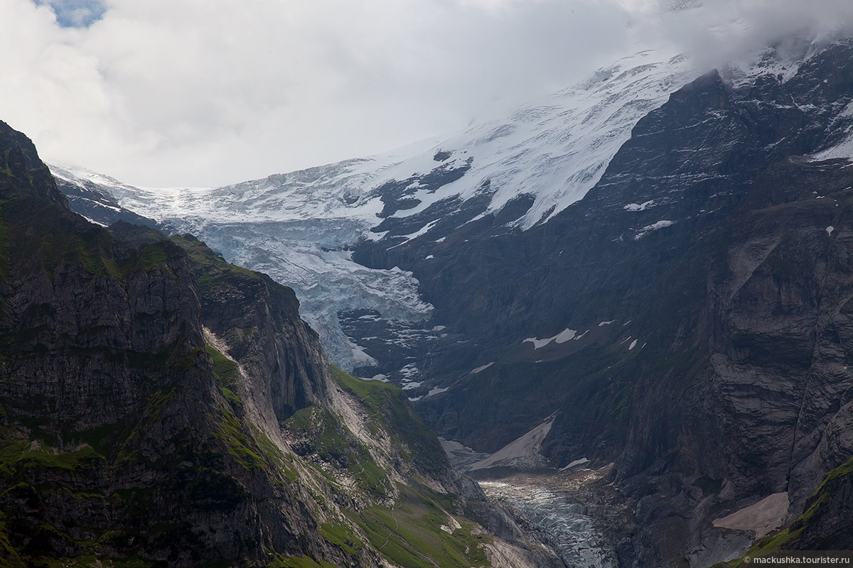 First, Grindelwald
